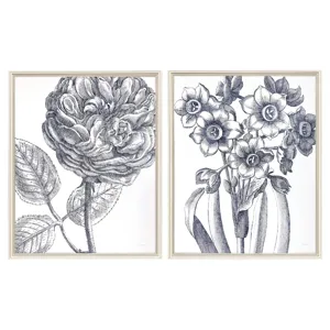 Belle Fleur I S/2 Framed Art