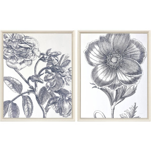 Belle Fleur II S/2 Framed Art