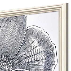 Belle Fleur II S/2 Framed Art