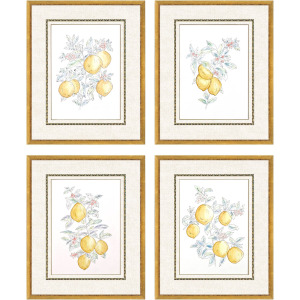 Citrus Fresh S/4 Framed Art