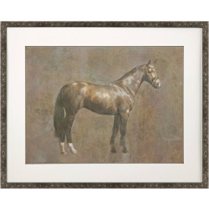 Majestic Horse I Framed Art
