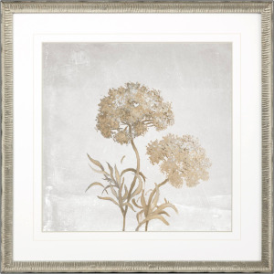 Delicate Beauty I Framed Art