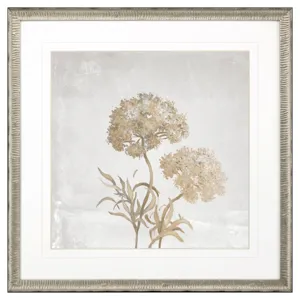 Delicate Beauty I Framed Art