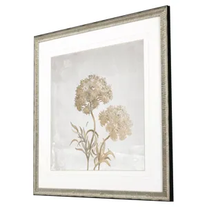 Delicate Beauty I Framed Art