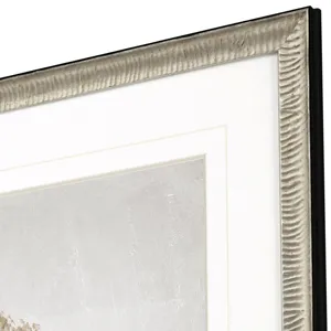 Delicate Beauty I Framed Art