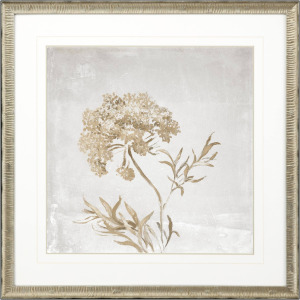 Delicate Beauty II Framed Art