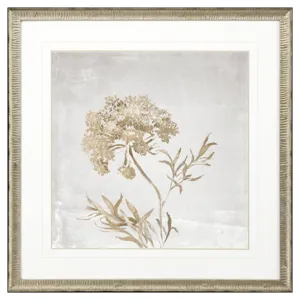 Delicate Beauty II Framed Art
