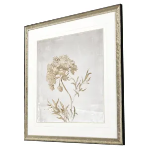 Delicate Beauty II Framed Art