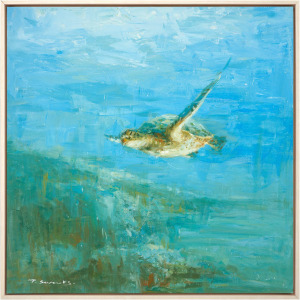 Sea Turtle Framed Art