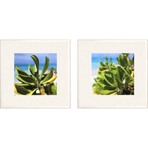 Sea and Sand S/2 Framed Art
