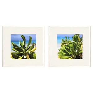 Sea and Sand S/2 Framed Art