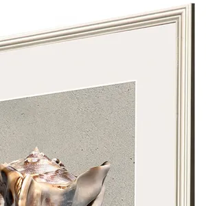 Tiger Shell S/4 Framed Art