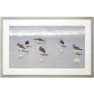 Sandpiper Reflections Framed Art