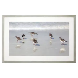 Sandpiper Reflections Framed Art