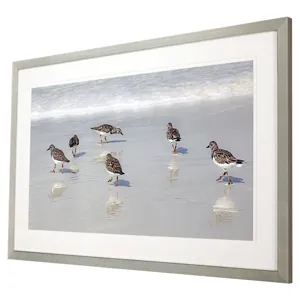 Sandpiper Reflections Framed Art