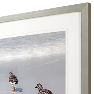 Sandpiper Reflections Framed Art