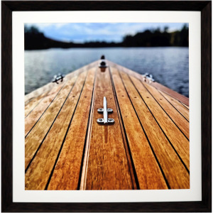 Lake Life I Framed Art