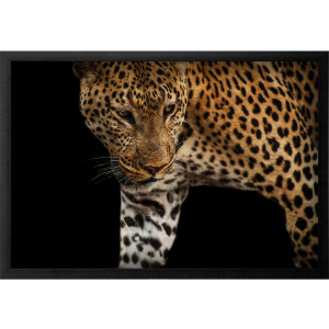 African Leopard - Stalk Framed Art