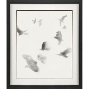 Birds in Flight - Glide Framed Art