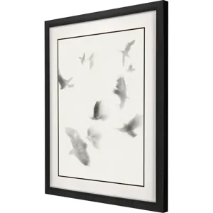 Birds in Flight - Glide Framed Art