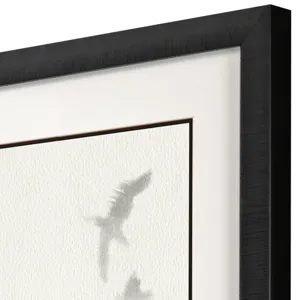 Birds in Flight - Glide Framed Art