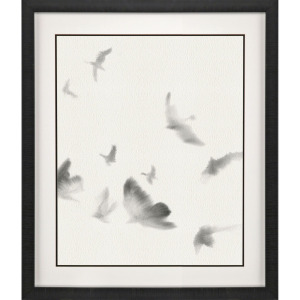 Birds in Flight - Swoop Framed Art