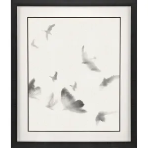 Birds in Flight - Swoop Framed Art