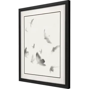 Birds in Flight - Swoop Framed Art