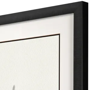 Birds in Flight - Swoop Framed Art