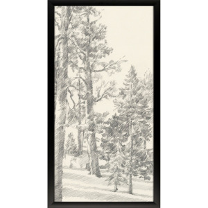 Tree Study I Framed Art