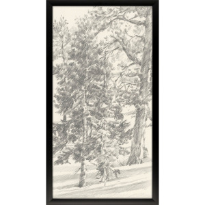 Tree Study II Framed Art