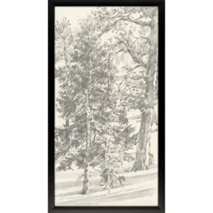 Tree Study II Framed Art