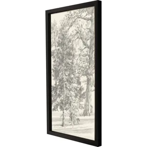 Tree Study II Framed Art