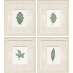 Leaf Adorned I S/4 Framed Art