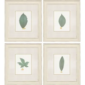 Leaf Adorned I S/4 Framed Art