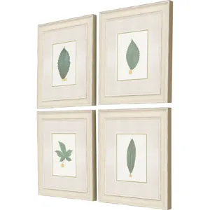 Leaf Adorned I S/4 Framed Art