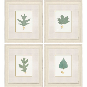 Leaf Adorned II S/4 Framed Art