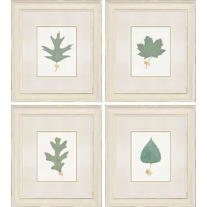 Leaf Adorned II S/4 Framed Art
