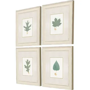 Leaf Adorned II S/4 Framed Art