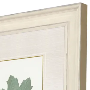 Leaf Adorned II S/4 Framed Art