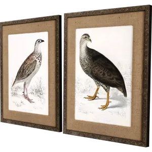 Francolinus Birds S/2 Framed Art