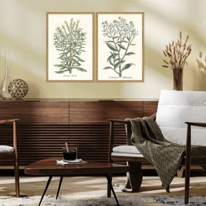 Botanical Plants I S/2 Framed Art
