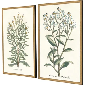 Botanical Plants I S/2 Framed Art