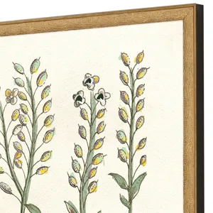 Botanical Plants II S/2 Framed Art