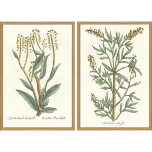 Botanical Plants III S/2 Framed Art