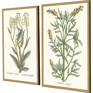 Botanical Plants III S/2 Framed Art