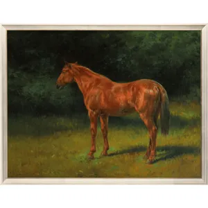 Red Sorrel Framed Art