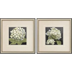Hydrangeas on Black S/2 Framed Art