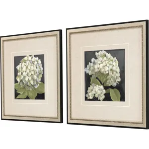 Hydrangeas on Black S/2 Framed Art