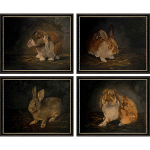 Resting Bunny S/4 Framed Art